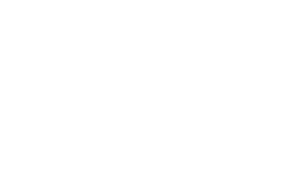 palantine solstice logo 1 white